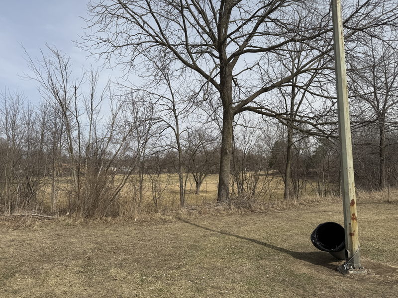 Pierce Municipal Park Golf Course - March 15 2025 Photo (newer photo)